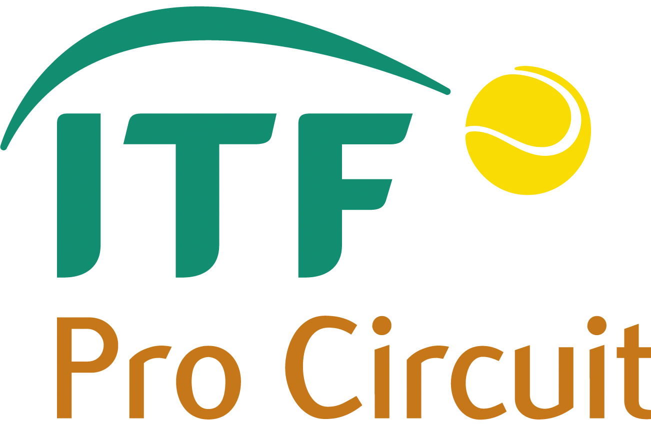 Pro Circuit Singular CMYK.png