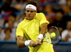 Хуан Мартин Дель Потро победил Бернарда Томича на турнире в Вашингтоне