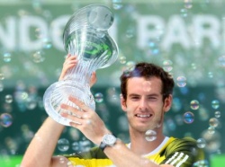 Энди Маррей стал чемпионом, обыграв Давида Феррера