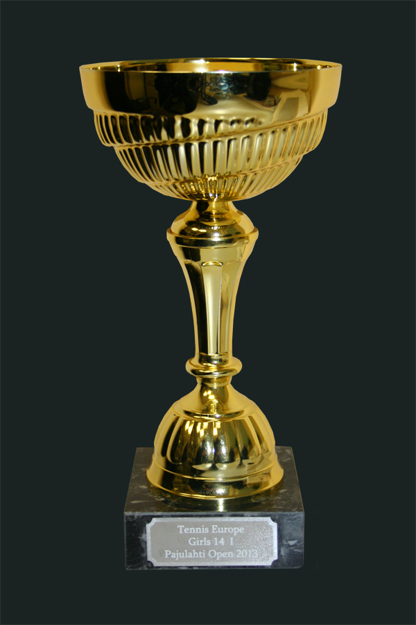 Победитель TE3 Pajulahti Open-2013