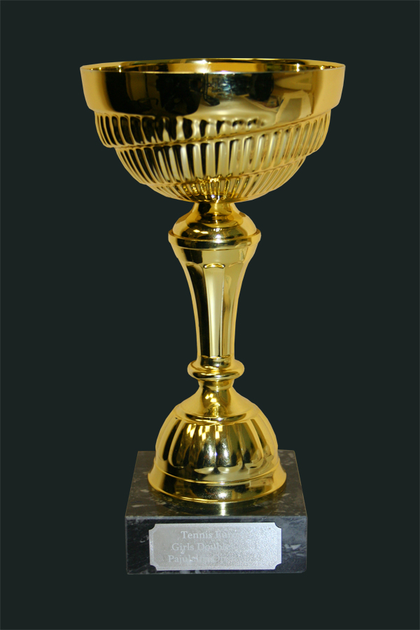 Победитель TE3 Pajulahti Open-2013